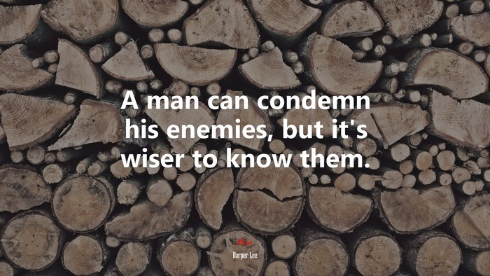A man can condemn his enemies, but it’s wiser to know them. | Harper Lee quote