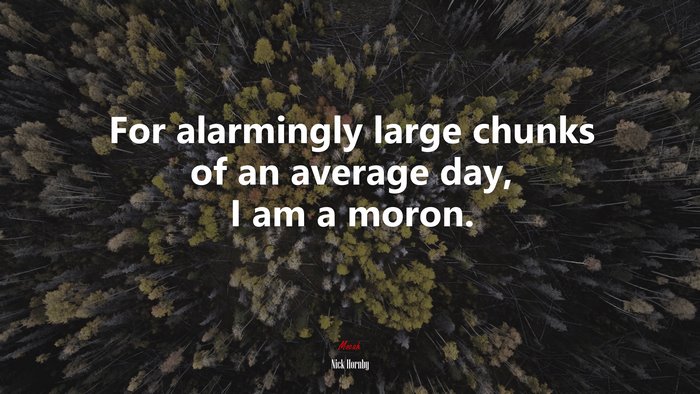 For alarmingly large chunks of an average day, I am a moron. | Nick Hornby quote