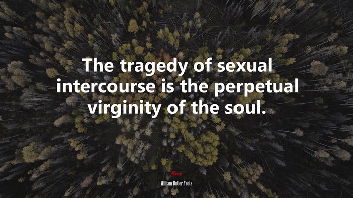 The tragedy of sexual intercourse is the perpetual virginity of the soul. | William Butler Yeats quote