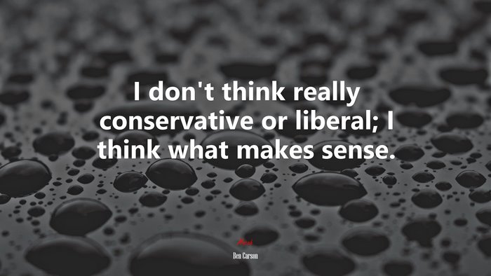 I don’t think really conservative or liberal; I think what makes sense. | Ben Carson quote