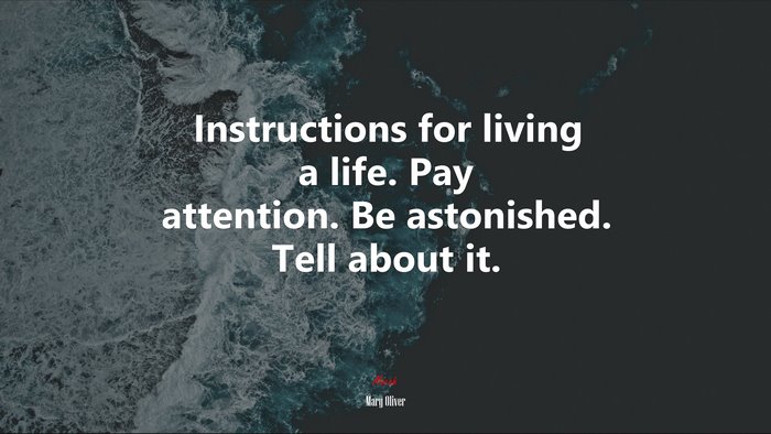 Instructions for living a life. Pay attention. Be astonished. Tell about it. | Mary Oliver quote