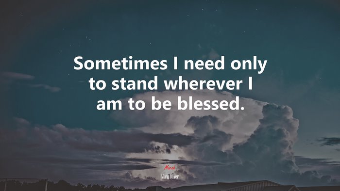 Sometimes I need only to stand wherever I am to be blessed. | Mary Oliver quote