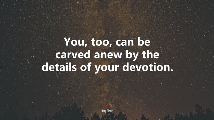 You, too, can be carved anew by the details of your devotion. | Mary Oliver quote