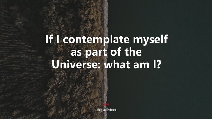 If I contemplate myself as part of the Universe: what am I? | Ludwig van Beethoven quote