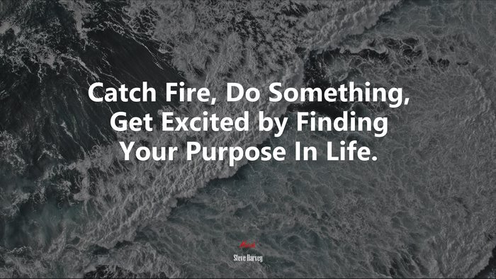 Catch Fire, Do Something, Get Excited by Finding Your Purpose In Life. | Steve Harvey quote