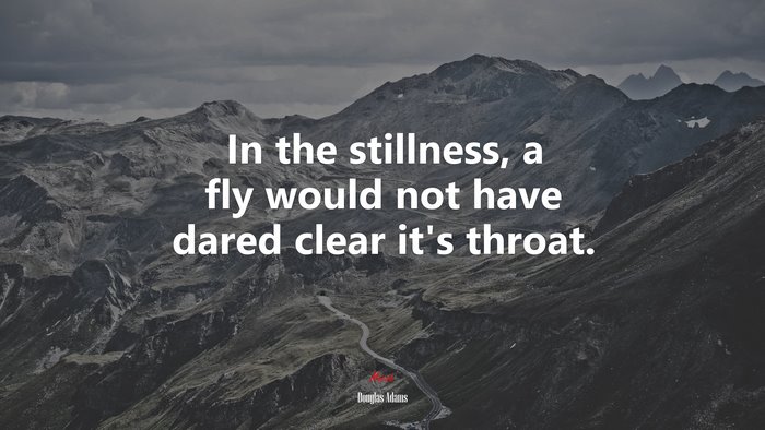 In the stillness, a fly would not have dared clear it’s throat. | Douglas Adams quote