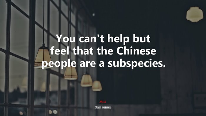 You can’t help but feel that the Chinese people are a subspecies. | Steven Morrissey quote