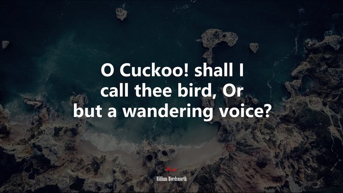 O Cuckoo! shall I call thee bird, Or but a wandering voice? | William Wordsworth quote