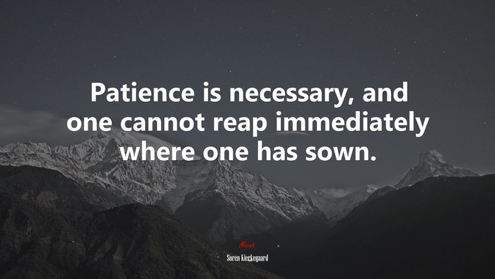 Patience is necessary, and one cannot reap immediately where one has sown. | Soren Kierkegaard quote