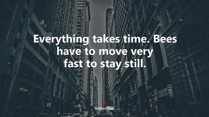 Everything takes time. Bees have to move very fast to stay still. | David Foster Wallace quote