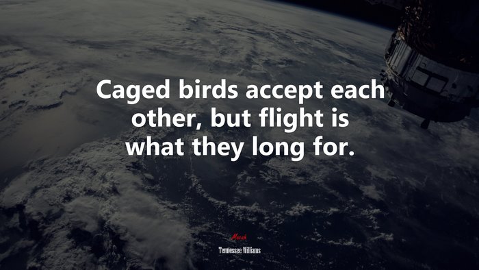 Caged birds accept each other, but flight is what they long for. | Tennessee Williams quote