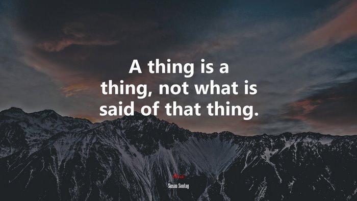 A thing is a thing, not what is said of that thing. | Susan Sontag quote
