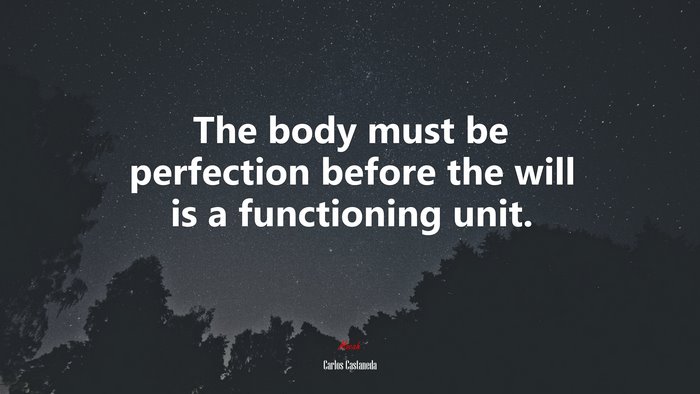 The body must be perfection before the will is a functioning unit. | Carlos Castaneda quote