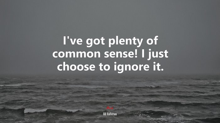 I’ve got plenty of common sense! I just choose to ignore it. | Bill Watterson quote