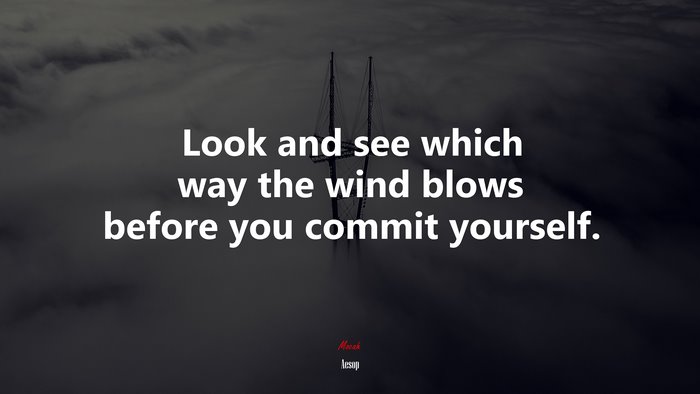 Look and see which way the wind blows before you commit yourself. | Aesop quote