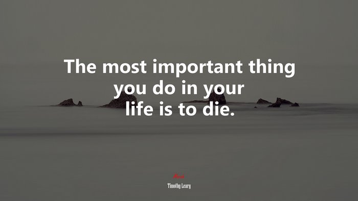 The most important thing you do in your life is to die. | Timothy Leary quote