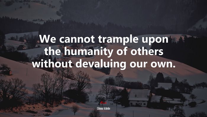 We cannot trample upon the humanity of others without devaluing our own. | Chinua Achebe quote