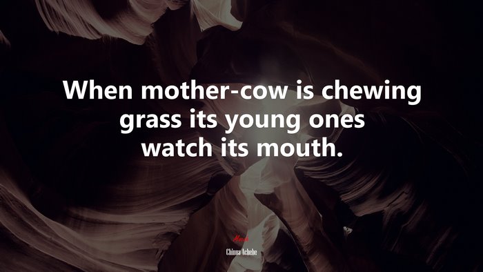 When mother-cow is chewing grass its young ones watch its mouth. | Chinua Achebe quote