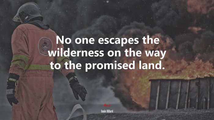 No one escapes the wilderness on the way to the promised land. | Annie Dillard quote