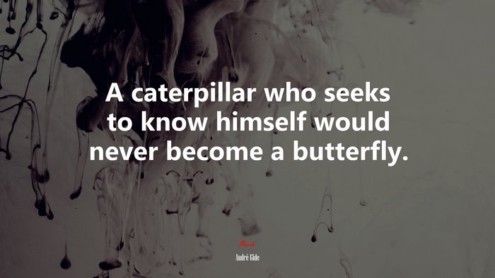 A caterpillar who seeks to know himself would never become a butterfly. | André Gide quote