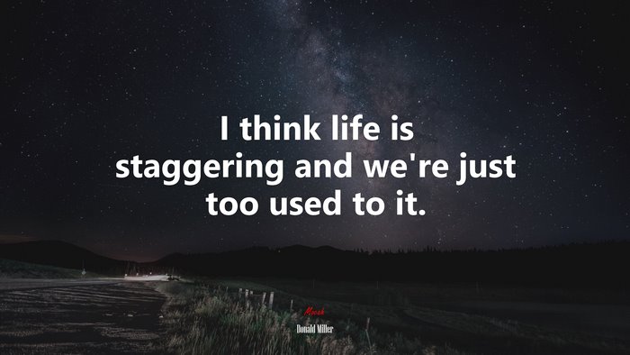 I think life is staggering and we’re just too used to it. | Donald Miller quote
