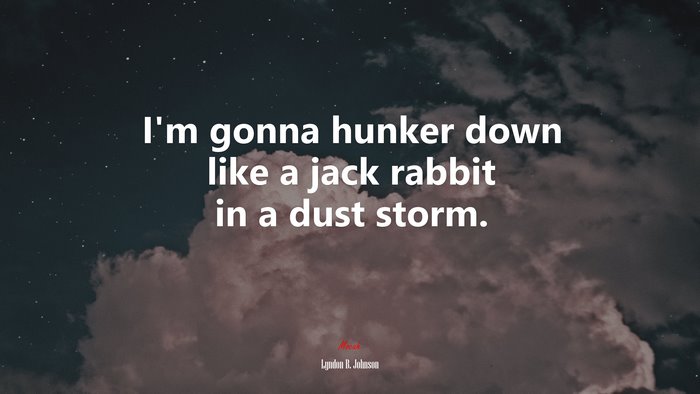 I’m gonna hunker down like a jack rabbit in a dust storm. | Lyndon B. Johnson quote