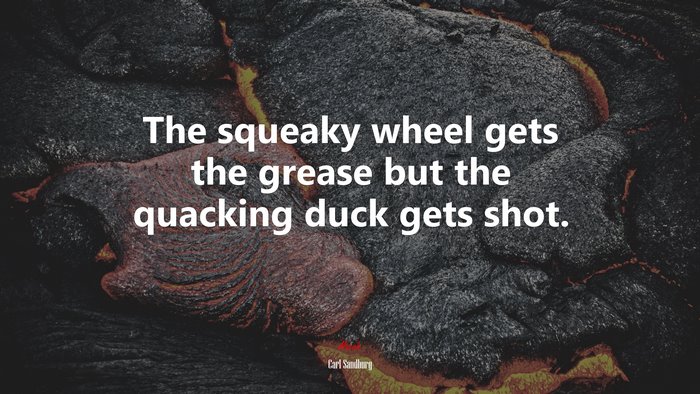 The squeaky wheel gets the grease but the quacking duck gets shot. | Carl Sandburg quote