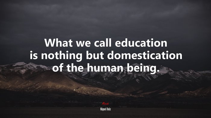 What we call education is nothing but domestication of the human being. | Miguel Ruiz quote