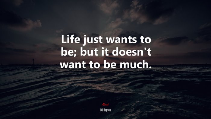 Life just wants to be; but it doesn’t want to be much. | Bill Bryson quote