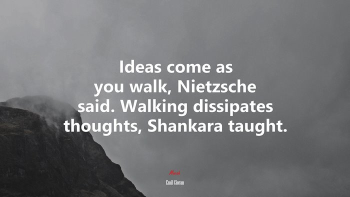 Ideas come as you walk, Nietzsche said. Walking dissipates thoughts, Shankara taught. | Emil Cioran quote