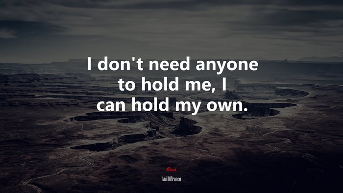 I don’t need anyone to hold me, I can hold my own. | Ani DiFranco quote
