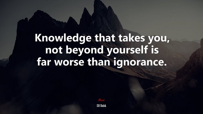 Knowledge that takes you, not beyond yourself is far worse than ignorance. | Elif Shafak quote