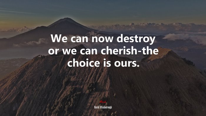 We can now destroy or we can cherish-the choice is ours. | David Attenborough quote