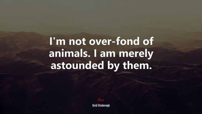 I’m not over-fond of animals. I am merely astounded by them. | David Attenborough quote