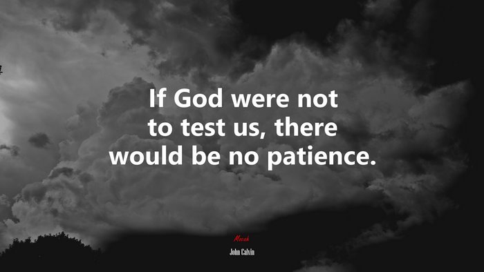 If God were not to test us, there would be no patience. | John Calvin quote