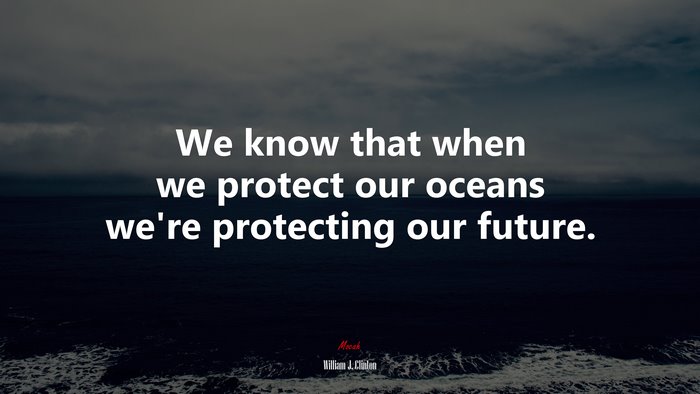We know that when we protect our oceans we’re protecting our future. | William J. Clinton quote