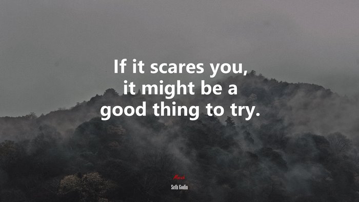 If it scares you, it might be a good thing to try. | Seth Godin quote