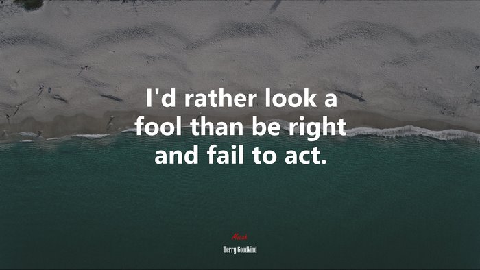 I’d rather look a fool than be right and fail to act. | Terry Goodkind quote