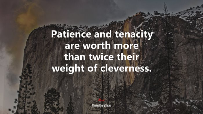 Patience and tenacity are worth more than twice their weight of cleverness. | Thomas Henry Huxley quote