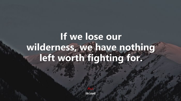 If we lose our wilderness, we have nothing left worth fighting for. | Aldo Leopold quote
