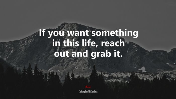 If you want something in this life, reach out and grab it. | Christopher McCandless quote