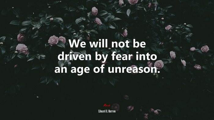 We will not be driven by fear into an age of unreason. | Edward R. Murrow quote