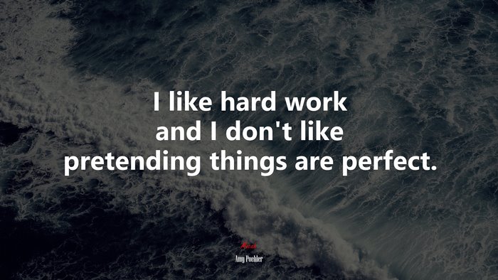I like hard work and I don’t like pretending things are perfect. | Amy Poehler quote