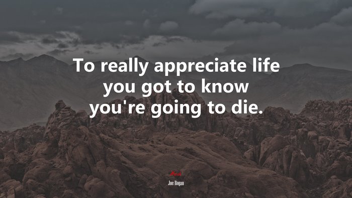 To really appreciate life you got to know you’re going to die. | Joe Rogan quote