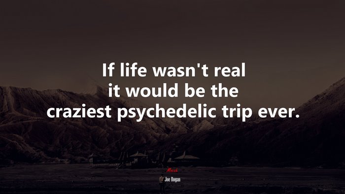 If life wasn’t real it would be the craziest psychedelic trip ever. | Joe Rogan quote