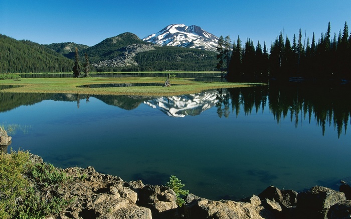 Snow-capped mountain reflected in a lake with pine trees