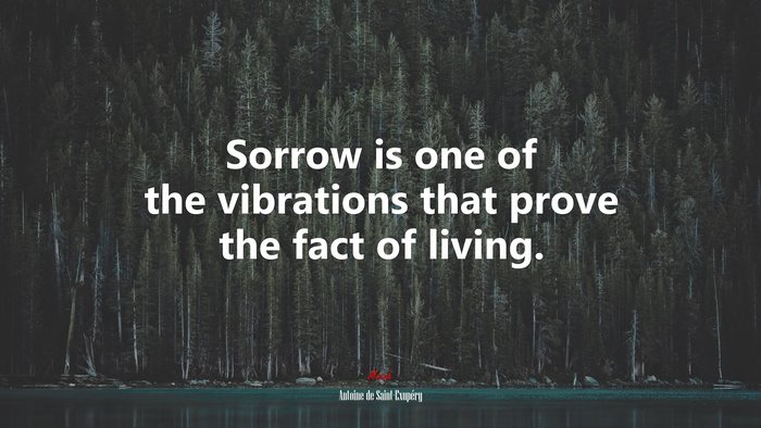 Sorrow is one of the vibrations that prove the fact of living. | Antoine de Saint-Exupéry quote