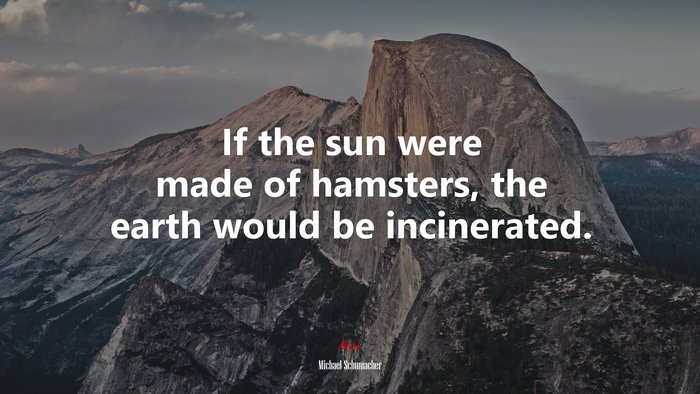If the sun were made of hamsters, the earth would be incinerated. | Michael Schumacher quote