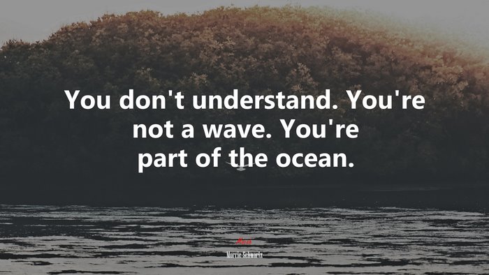 You don’t understand. You’re not a wave. You’re part of the ocean. | Morrie Schwartz quote
