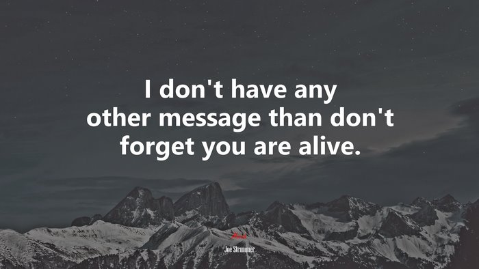 I don’t have any other message than don’t forget you are alive. | Joe Strummer quote